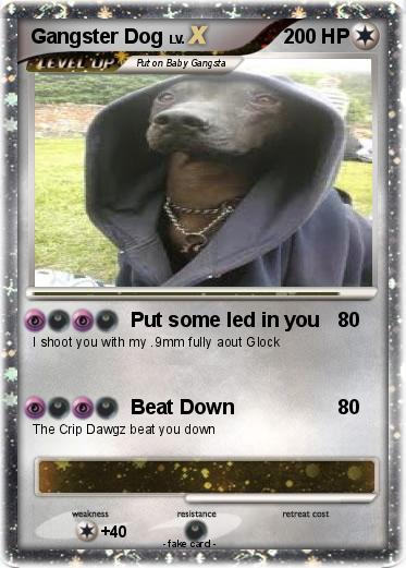 Pokemon Gangster Dog