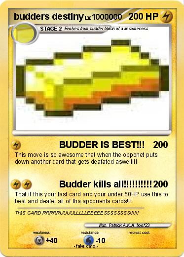 Pokemon budders destiny
