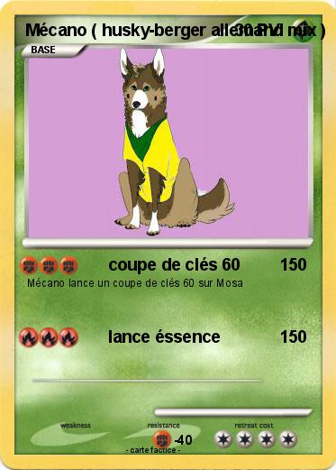 Pokemon Mécano ( husky-berger allemand mix )