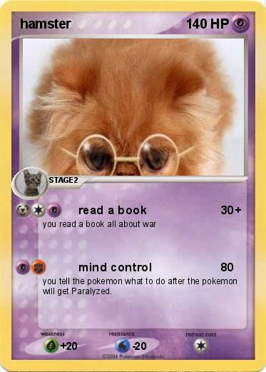 Pokemon hamster