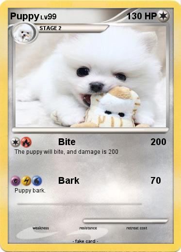 Pokemon Puppy