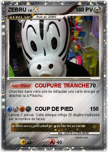Pokemon ZEBRU