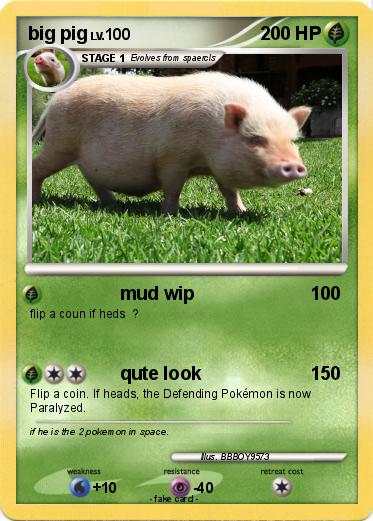 Pokemon big pig