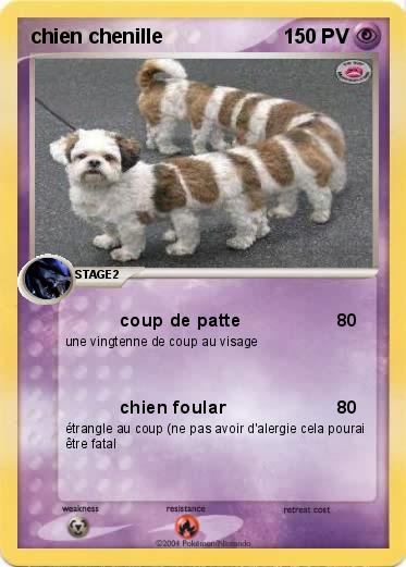 Pokemon chien chenille
