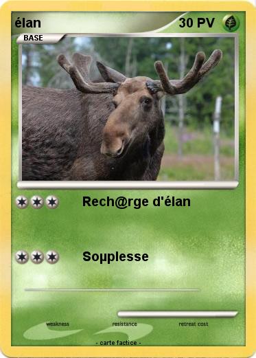 Pokemon élan