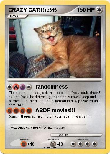 Pokemon CRAZY CAT!!!