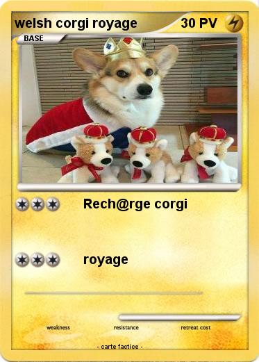 Pokemon welsh corgi royage