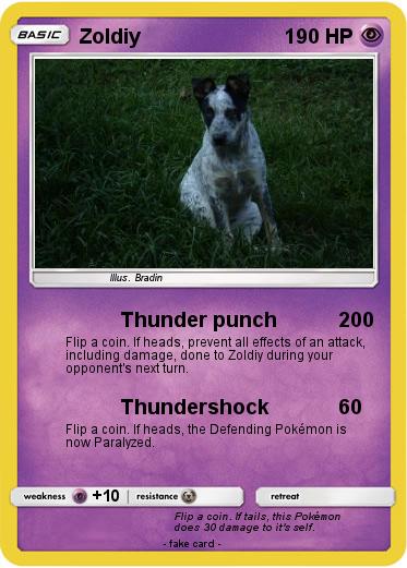 Pokemon Zoldiy