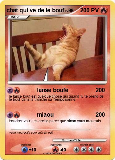 Pokemon chat qui ve de le bouf