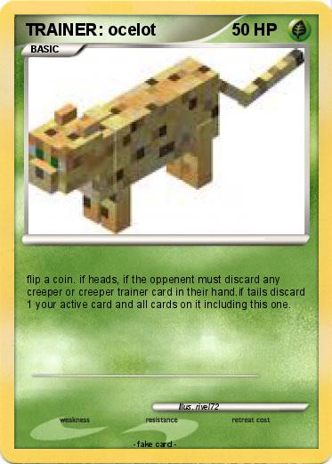 Pokemon TRAINER: ocelot