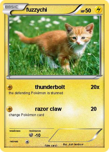 Pokemon fuzzychi