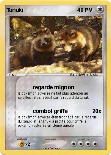 Pokemon Tanuki