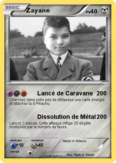 Pokemon Zayane