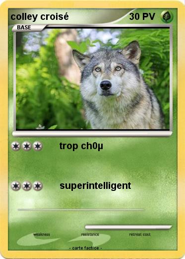 Pokemon colley croisé