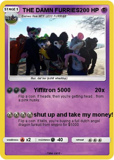 Pokemon THE DAMN FURRIES