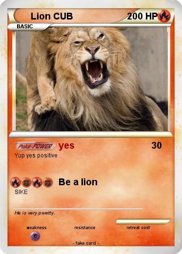 Pokemon Lion CUB