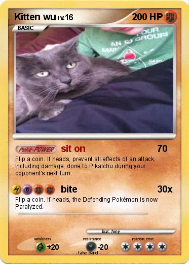 Pokemon Kitten wu