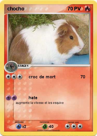 Pokemon chocho