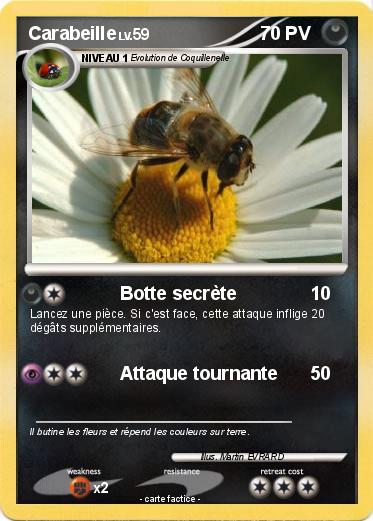 Pokemon Carabeille