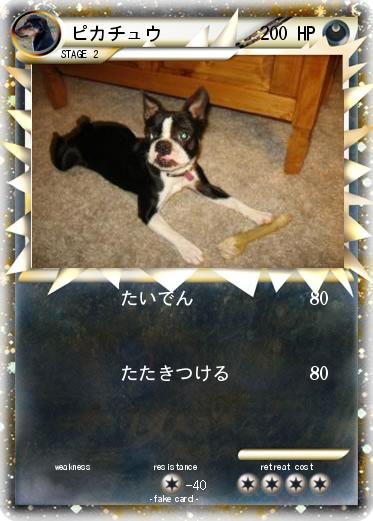 Pokemon ピカチュウ