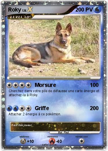 Pokemon Roky