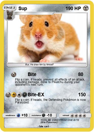 Pokemon Sup