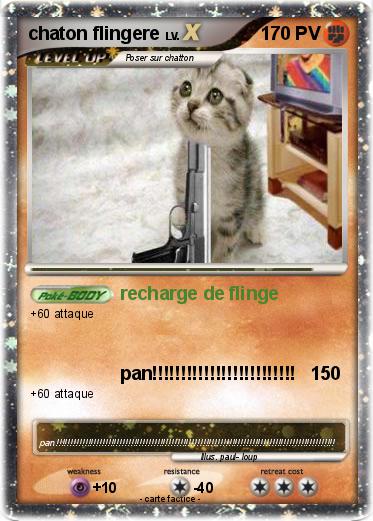 Pokemon chaton flingere