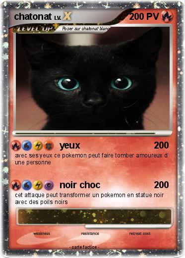 Pokemon chatonat