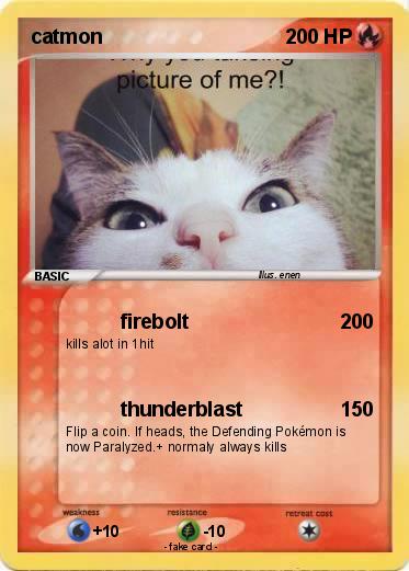 Pokemon catmon