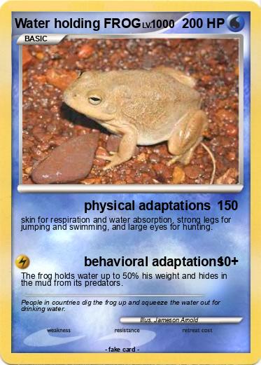 Pokemon Water holding FROG