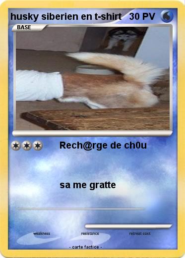 Pokemon husky siberien en t-shirt