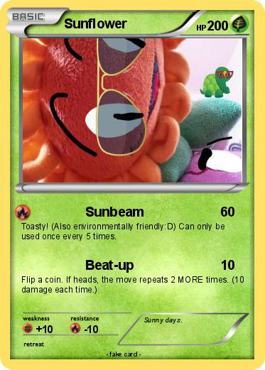 Pokemon Sunflower