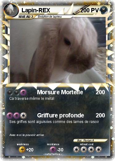 Pokemon Lapin-REX