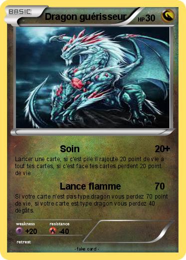 Pokemon Dragon guérisseur