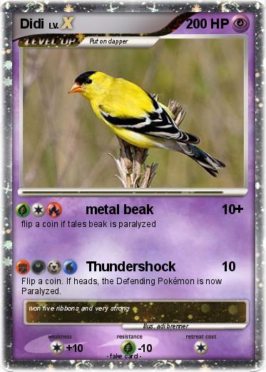 Pokemon Didi