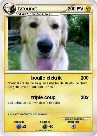 Pokemon fafounet