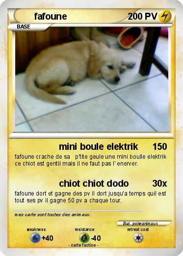 Pokemon fafoune