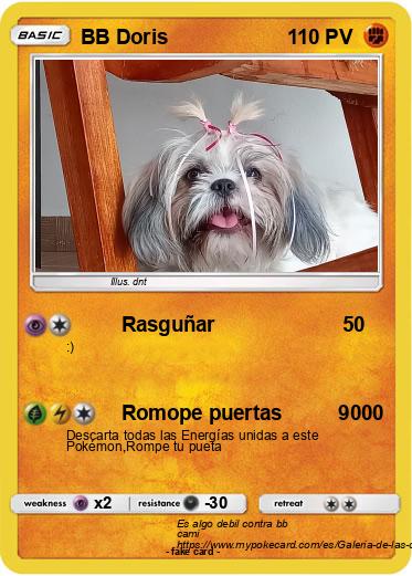 Pokemon BB Doris