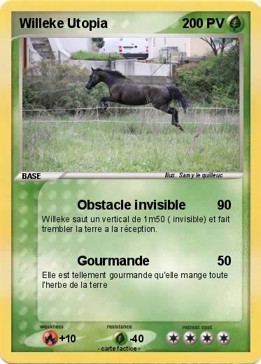 Pokemon Willeke Utopia