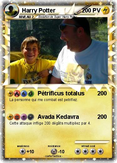 Pokemon Harry Potter