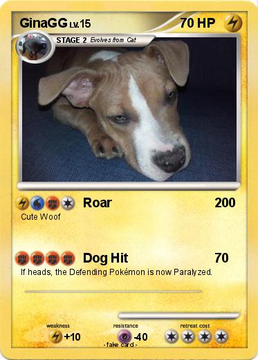 Pokemon GinaGG