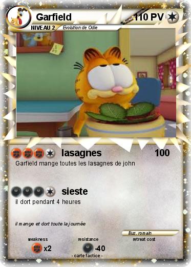 Pokemon Garfield