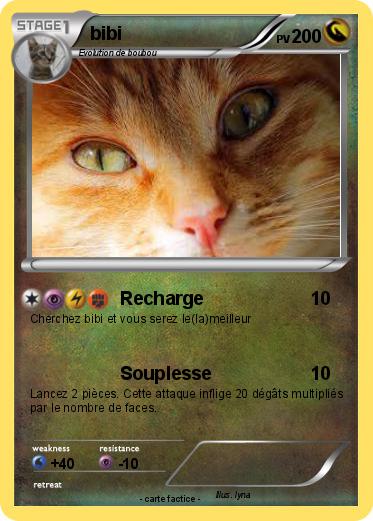 Pokemon bibi