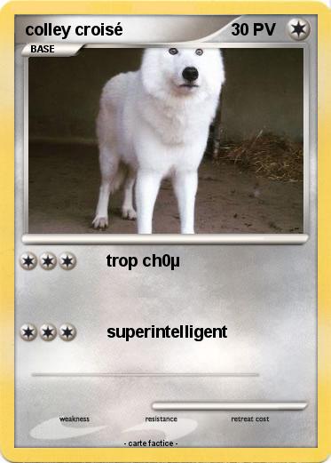 Pokemon colley croisé