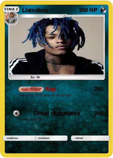 Pokemon Llamaboy