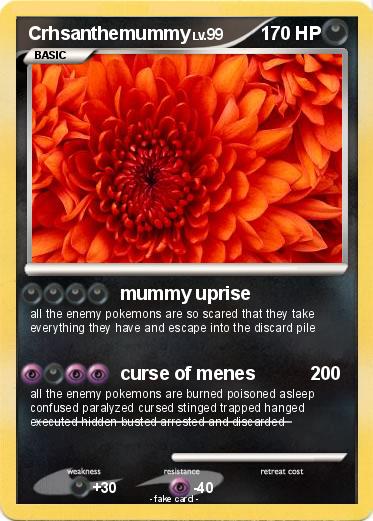 Pokemon Crhsanthemummy