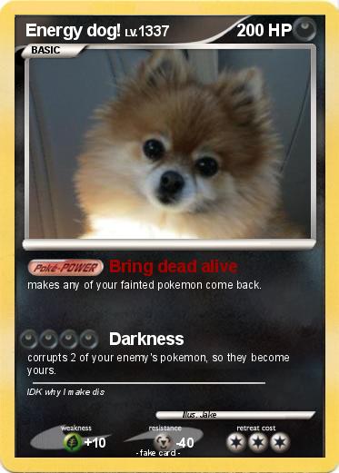 Pokemon Energy dog!