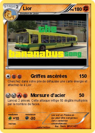 Pokemon Lior