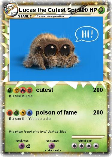 Pokemon Lucas the Cutest Spider