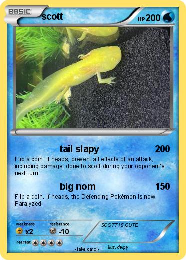 Pokemon scott